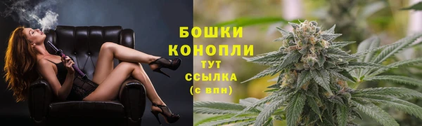крисы Баксан