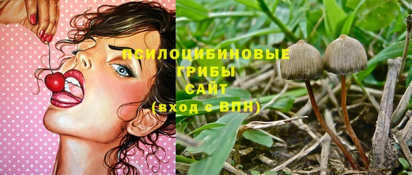 крисы Баксан