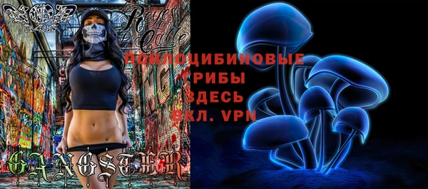 крисы Баксан