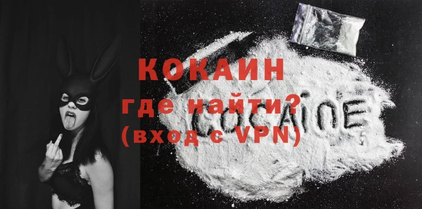 крисы Баксан