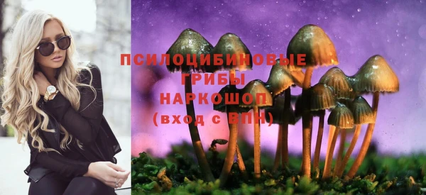 крисы Баксан