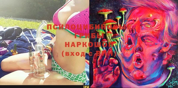 крисы Баксан