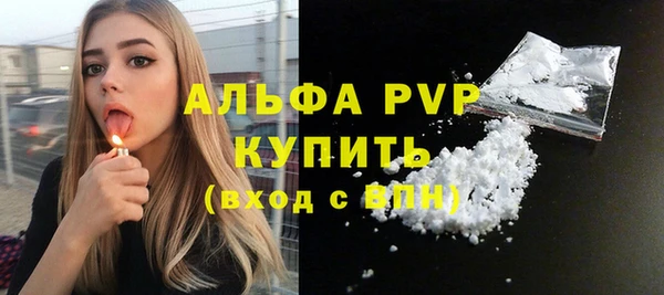 крисы Баксан