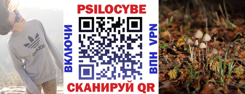 закладка  Вуктыл  Галлюциногенные грибы Psilocybine cubensis 